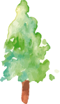 木