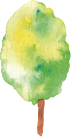 木