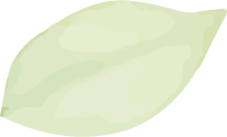 葉っぱ