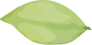 葉っぱ